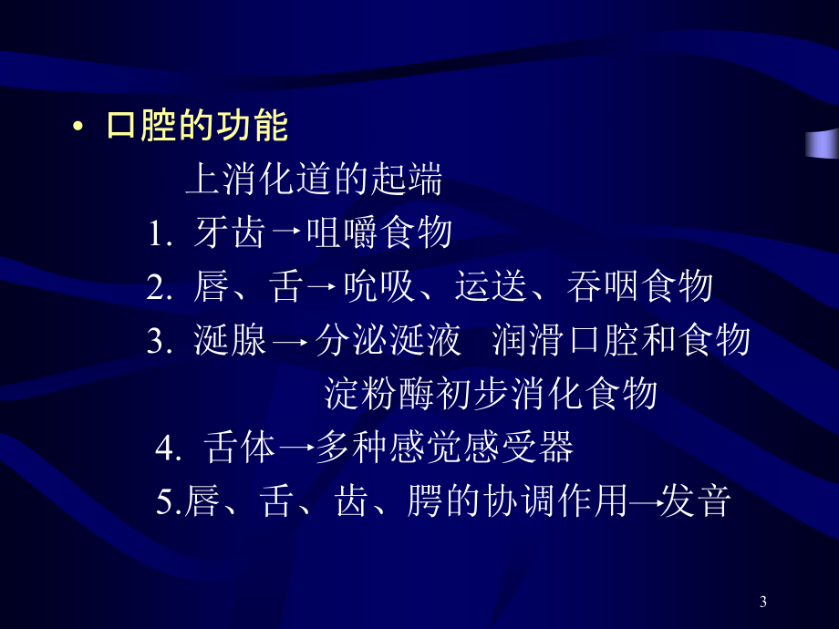 口腔颌面部解剖生理_3课件_第3页