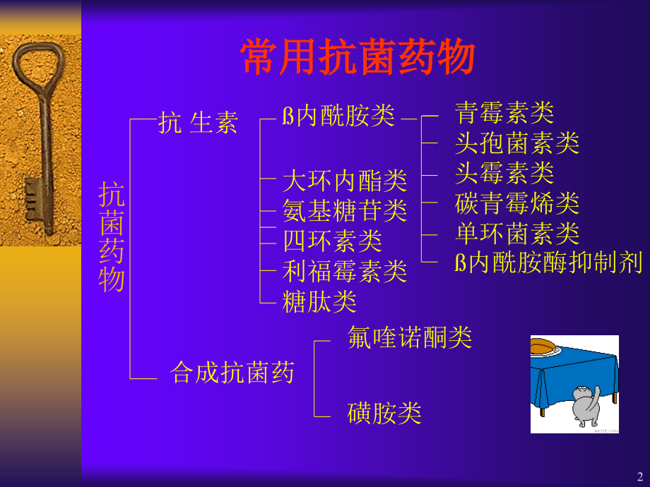 抗菌药物的选择和优化策略课件_第2页