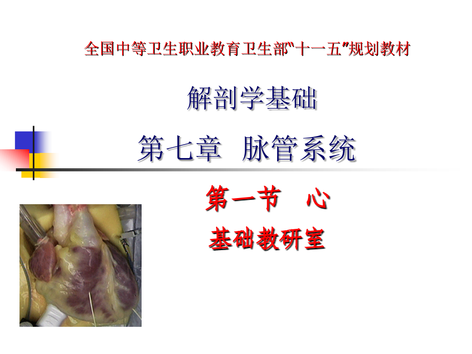 左右心室课件_第1页
