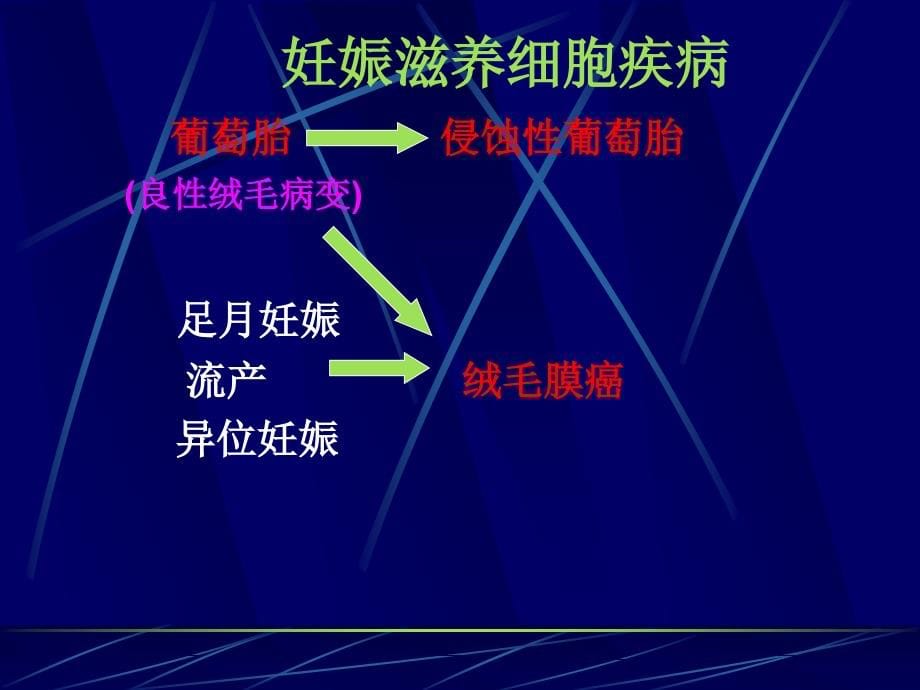 医学类妊娠滋养细胞疾病（gtd）课件_第5页