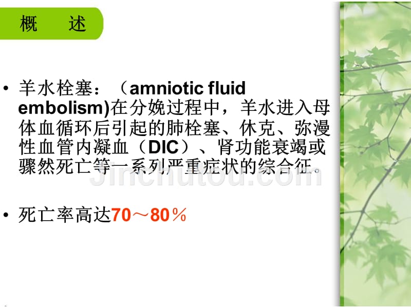 医学羊水栓塞课件_第3页