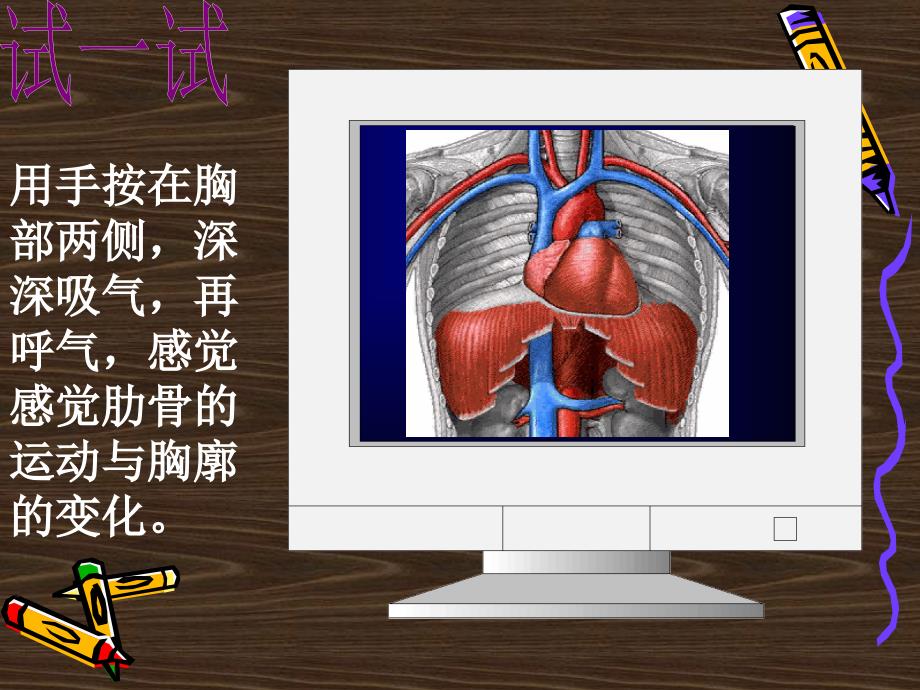 实验中学七年级生物教学课件432（1）发生在肺内的气体交换_第3页