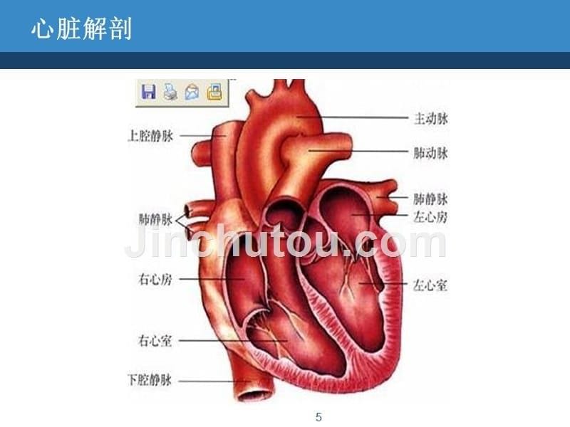 内科护理学循环系统症状体征课件_第5页