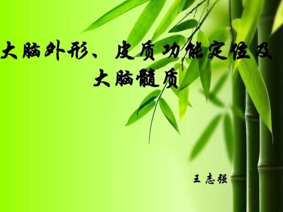 大脑外形皮质功能定位及大脑髓质课件_第1页