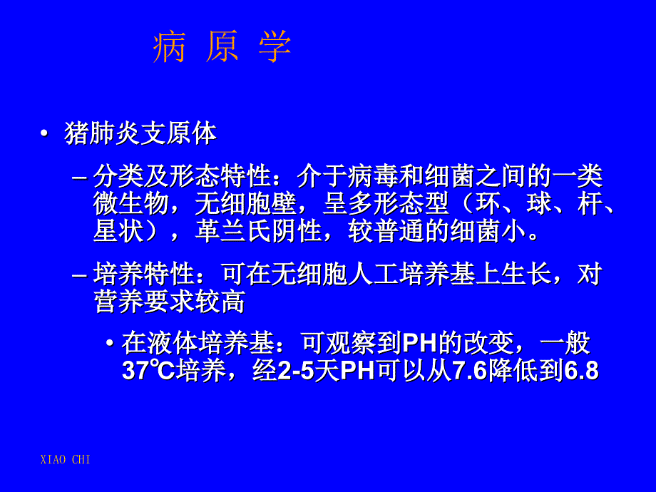 猪气喘病防治研究新进展（四川农大黄小波）课件_第3页