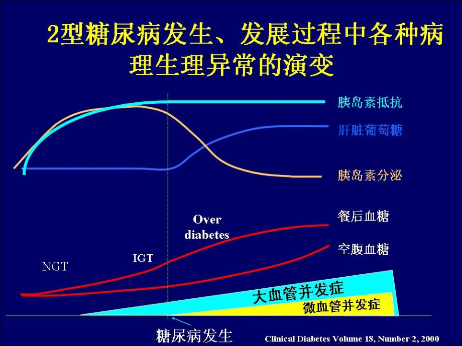 临床医学糖尿病知识系列教育护理课件_第4页