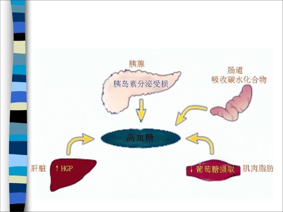 临床医学糖尿病知识系列教育护理课件_第5页