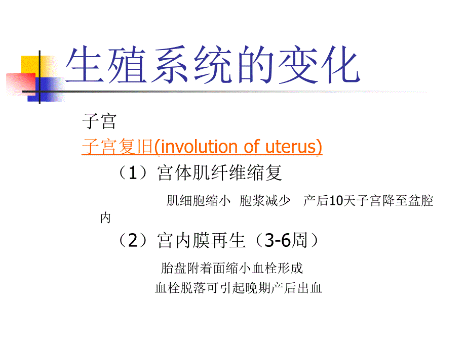 临床医学正常产褥课件_第4页