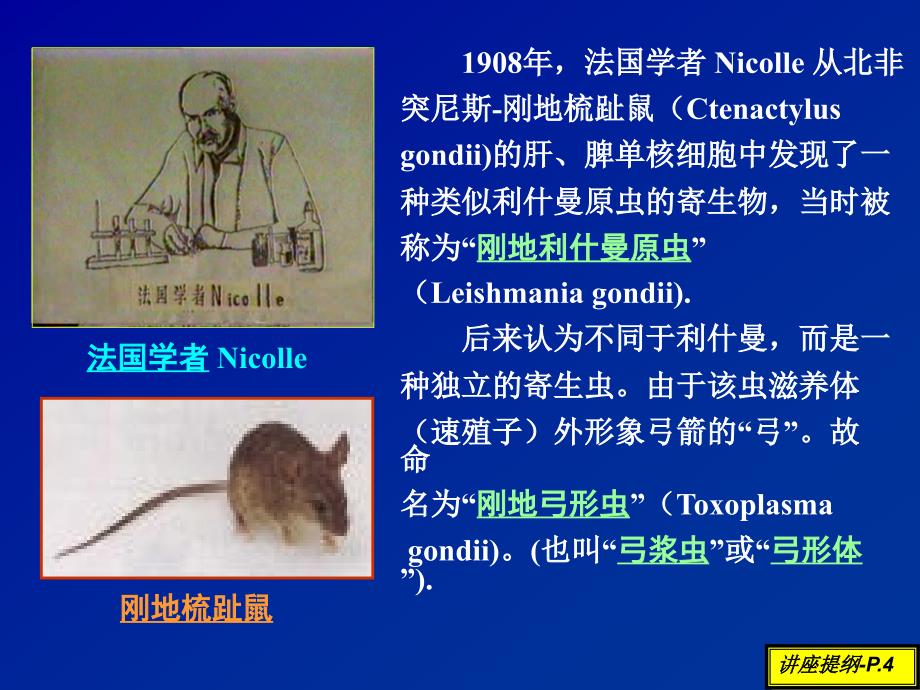 弓形虫与弓形虫病研究近况课件_第4页