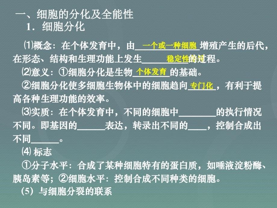 2016届高考生物一轮复习 细胞的分化衰老凋亡和癌变课件_第5页