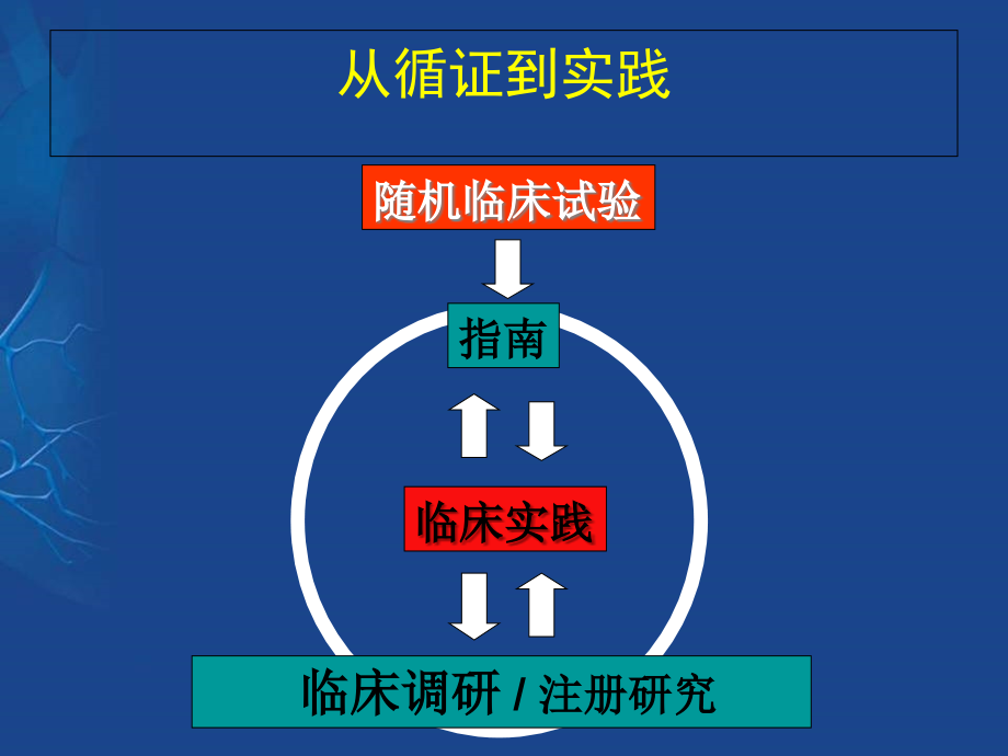 临床医学心房颤动的心律控制和心率控制课件_第2页