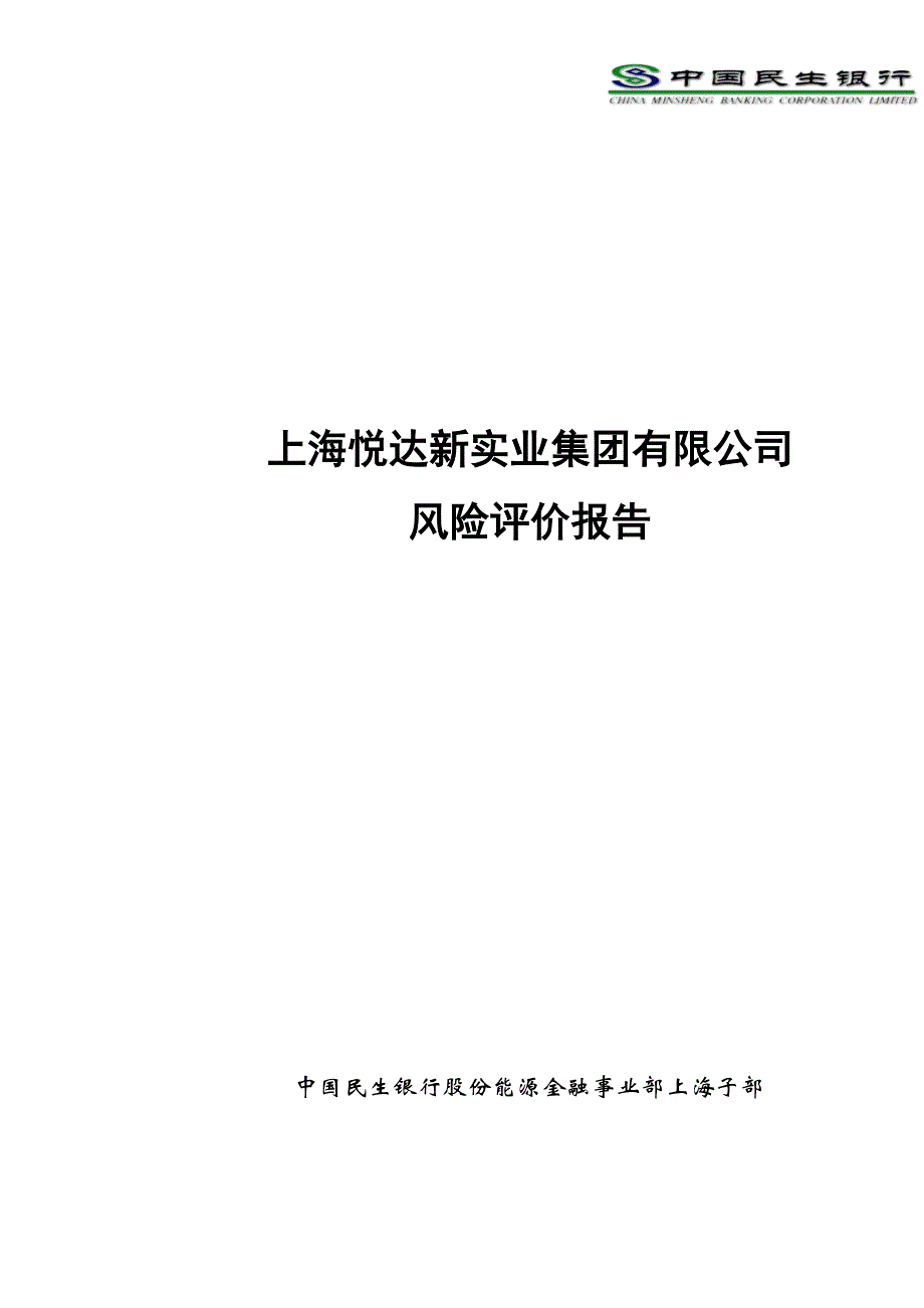 上海悦达新实业集团评价报告-民生银行_第1页