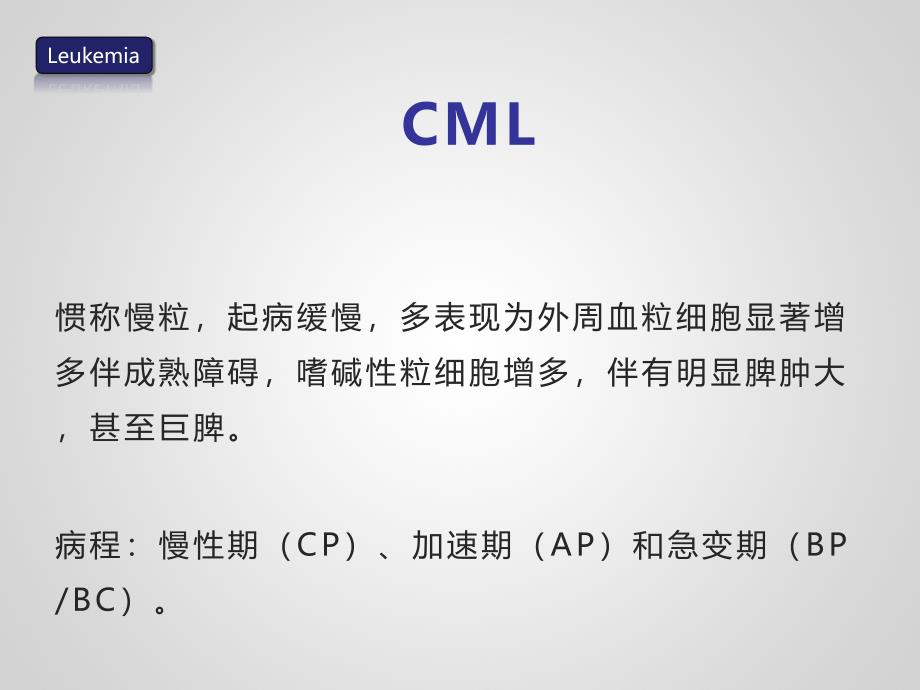 临床医学白血病慢粒  慢淋八年制课件_第2页