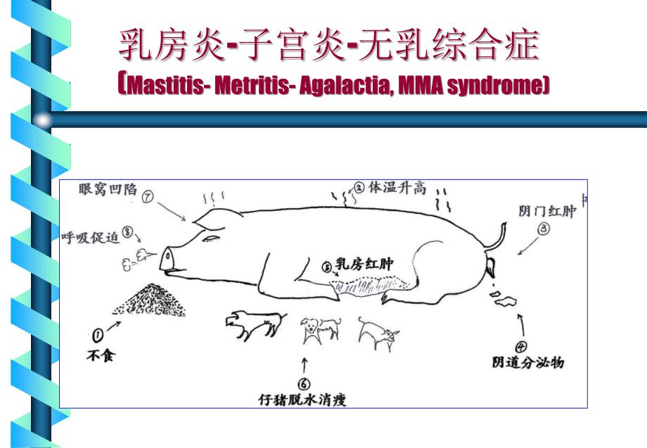 乳房炎子宫炎泌乳障碍综合征课件_第2页