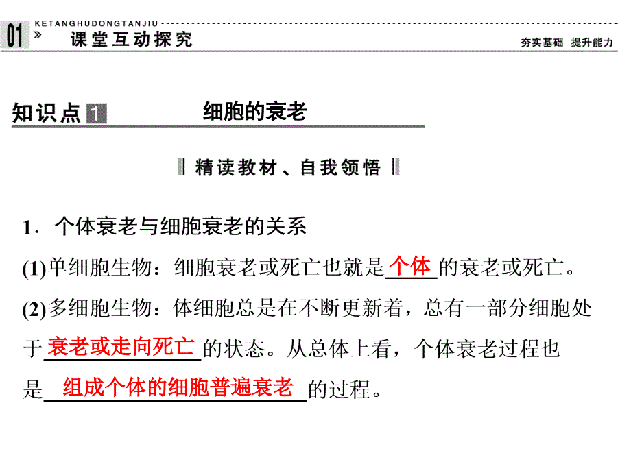 2013年高一生物必修1人教版同步课件634细胞的衰老和凋亡细胞的癌变_第4页