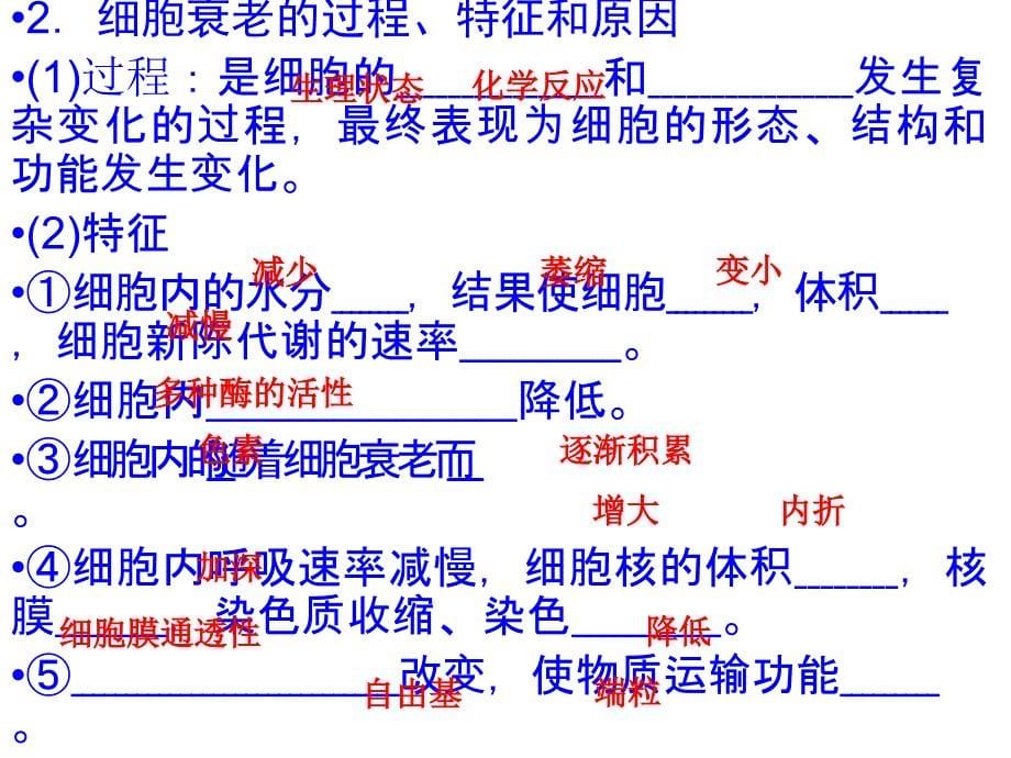 2013年高一生物必修1人教版同步课件634细胞的衰老和凋亡细胞的癌变_第5页