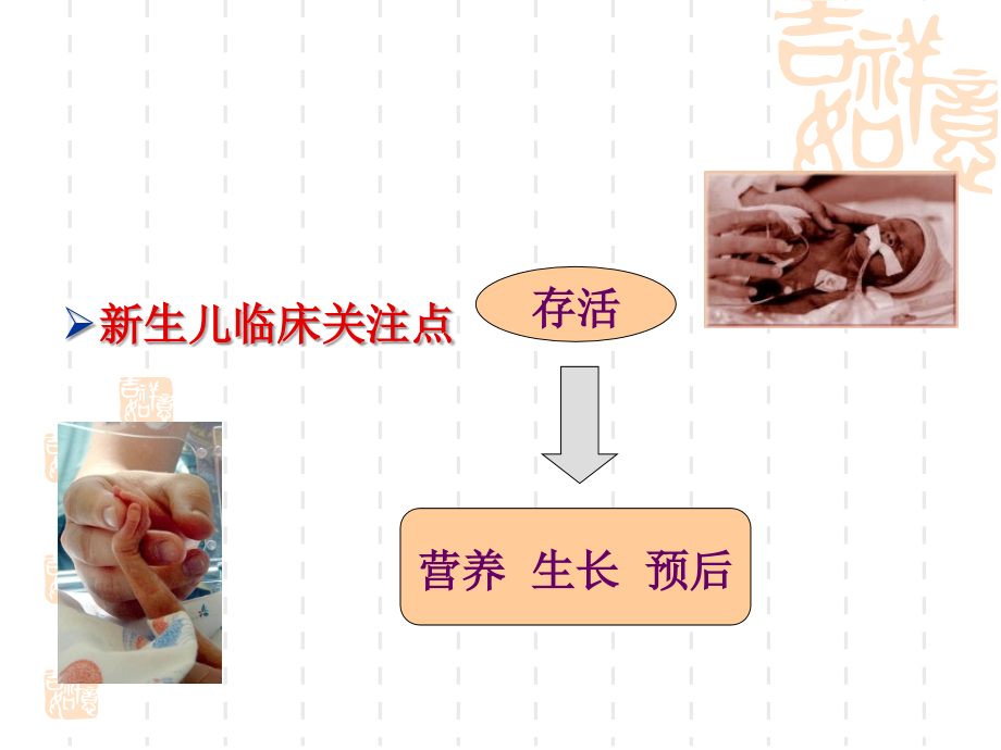 新生儿营养与生长发育青岛 ppt课件_第2页