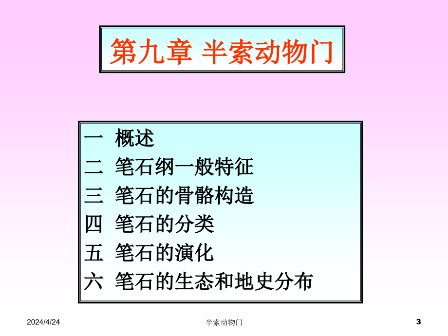 _半索动物门（himichordata）（含牙形石）图文课件_第3页