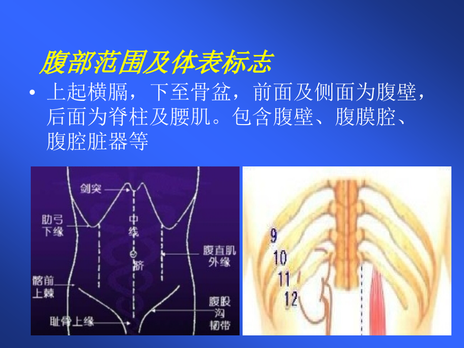 急性腹痛的诊断与鉴别诊断_2课件_第4页