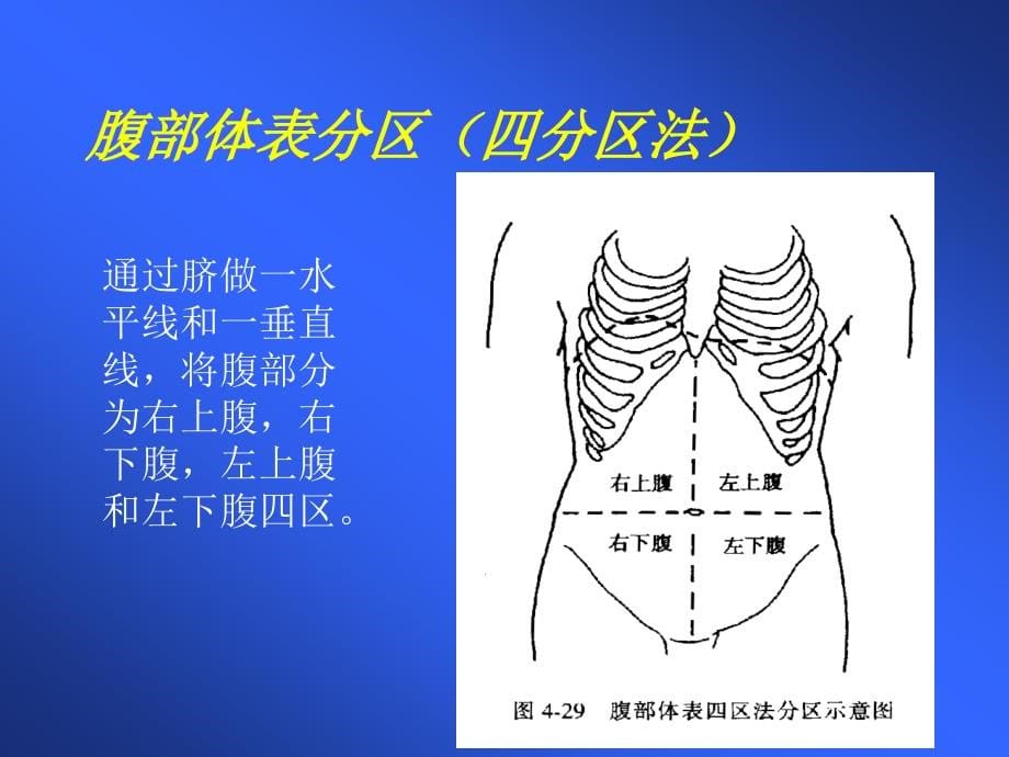 急性腹痛的诊断与鉴别诊断_2课件_第5页