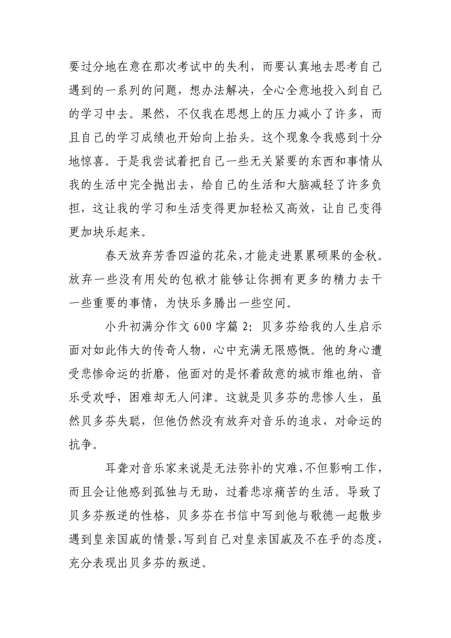 小升初满分作文600字左右_小升初作文600字大全_第2页