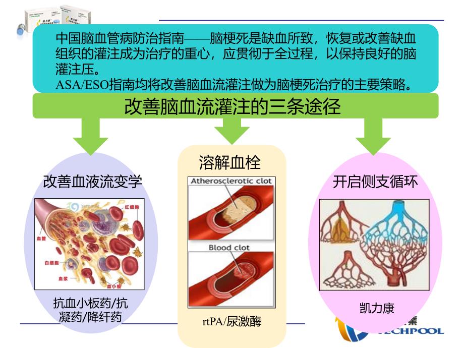 klk02凯力康科室会幻灯片(临床篇)_ppt课件_第3页