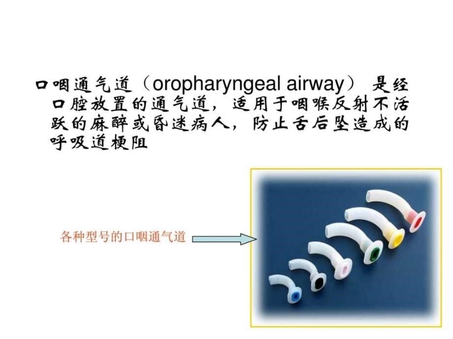 口鼻咽通气道课件_第5页