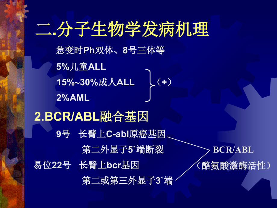 医药慢性粒细胞白血病诊断和治疗课件_第4页