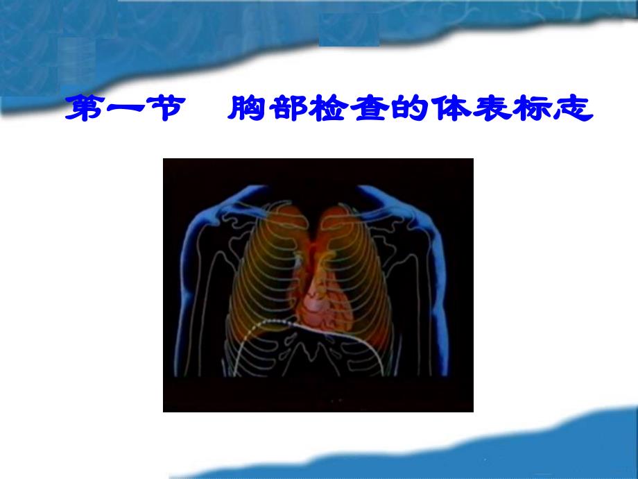 胸肺部检查胸部检查课件_第2页