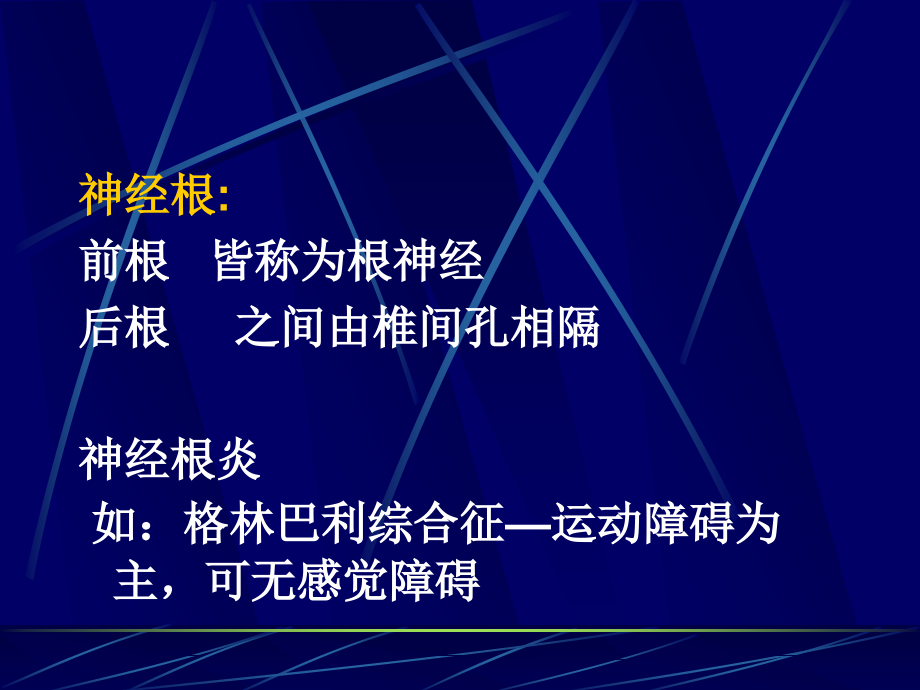 临床医学脊髓疾病课件_1_第4页