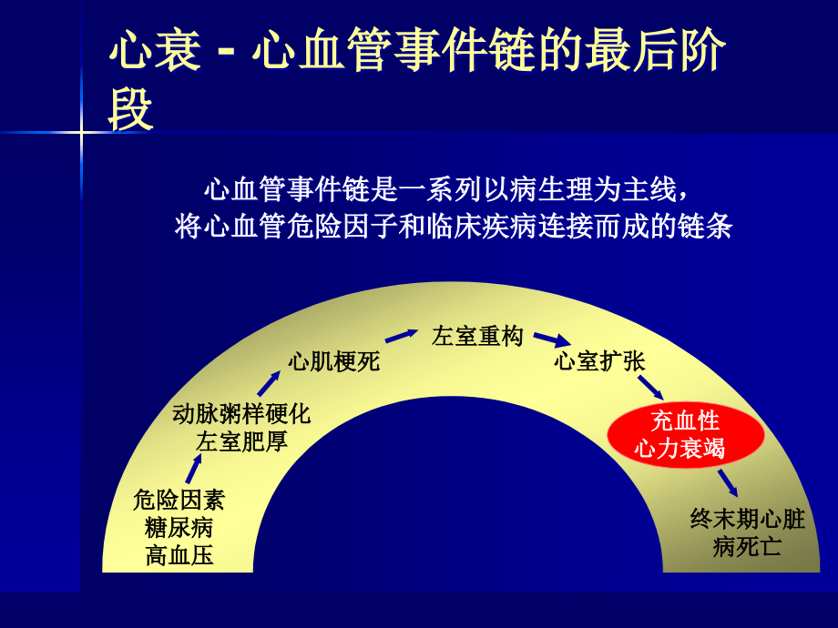 治疗心衰地位3 ppt课件_第4页