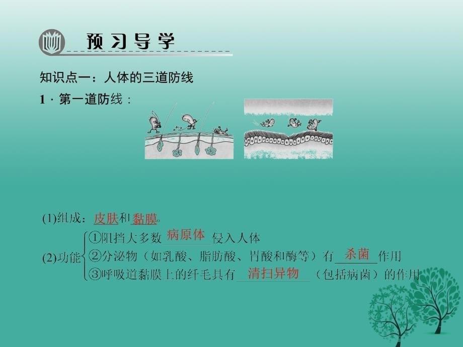 练闯考2017春八年级生物下册第八单元第一章第二节免疫与计划免疫第1课时人体的三道防线和免疫的类型ppt课件_第5页