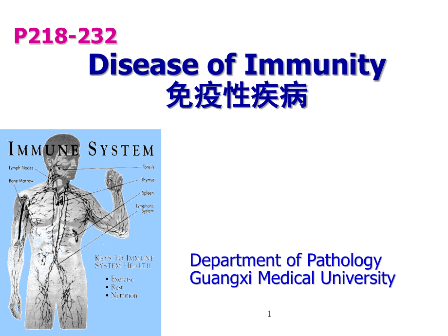 病理学免疫性疾病ppt课件_第1页
