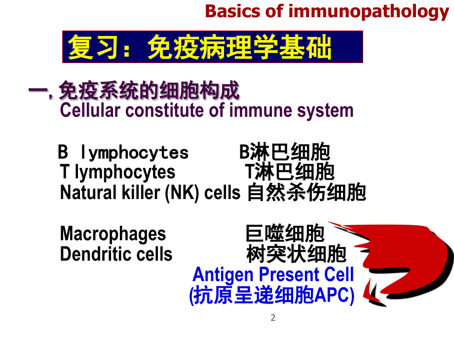 病理学免疫性疾病ppt课件_第2页