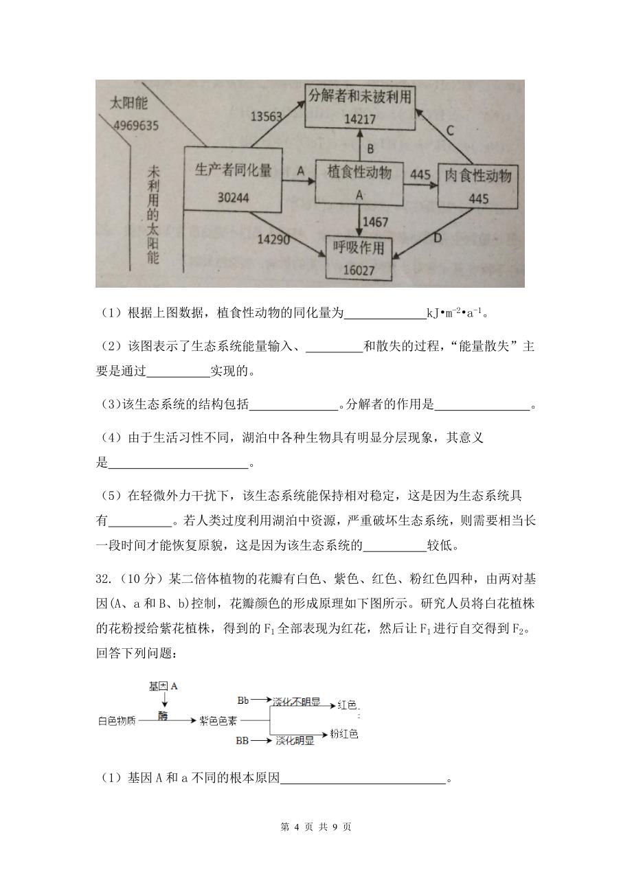 广东省汕头市高三第三次模拟考试理综生物试题&参考答案_第4页