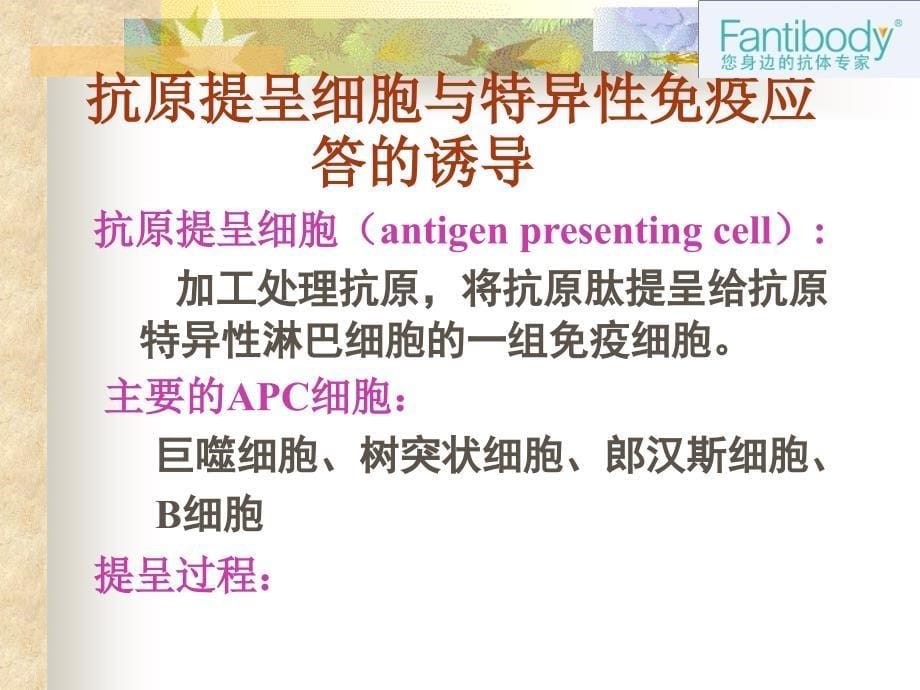 免疫细胞类型汇总及特性分析ppt课件_第5页