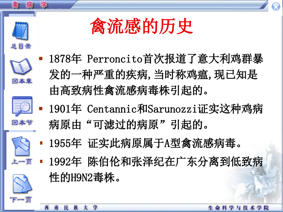 精品课程《禽病学》ppt_02禽流感课件_第3页