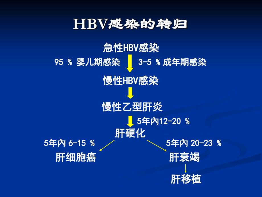 慢性乙型肝炎抗病毒治疗进展课件_第4页