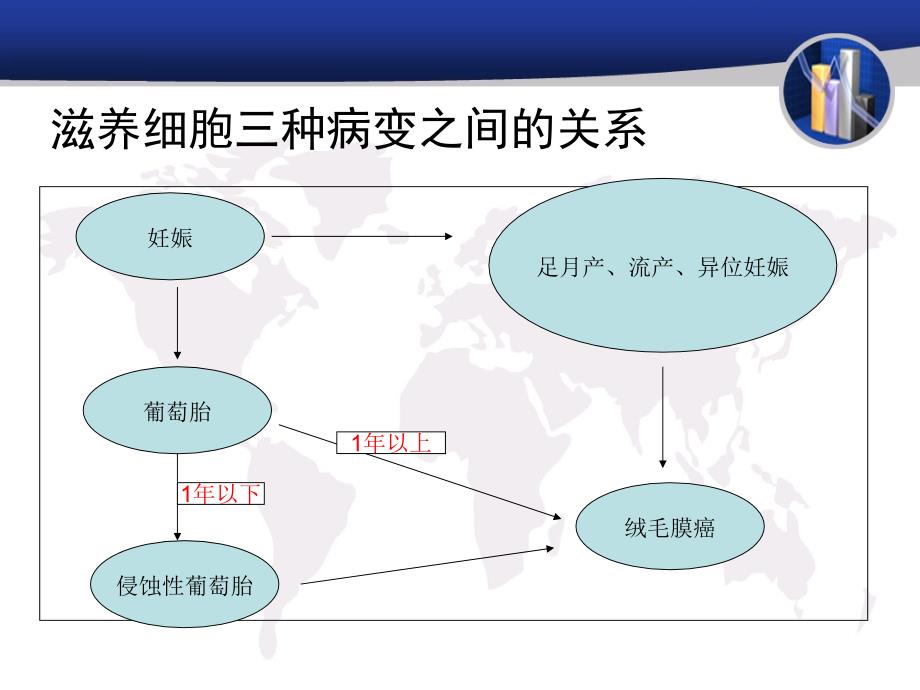 临床医学妇科疾病查房葡萄胎课件_第4页