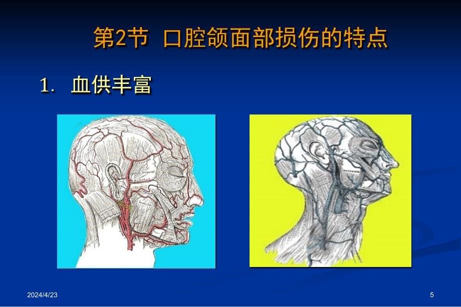 医学上海交大口腔颌面部创伤课件_第5页