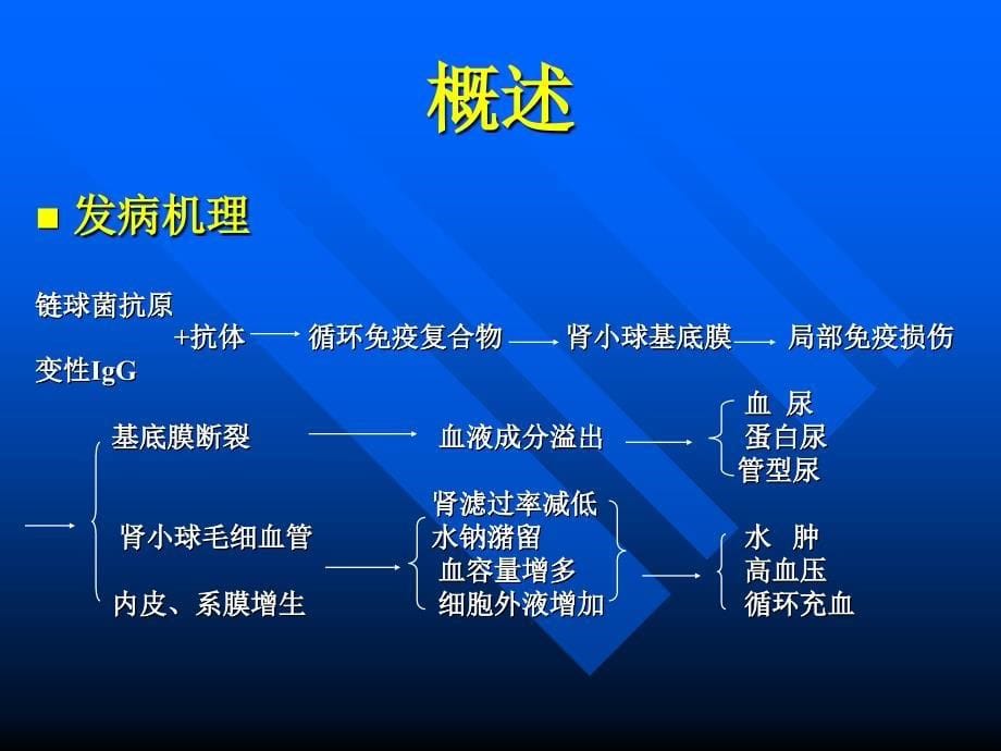 医学类急性肾小球肾炎_1课件_第5页