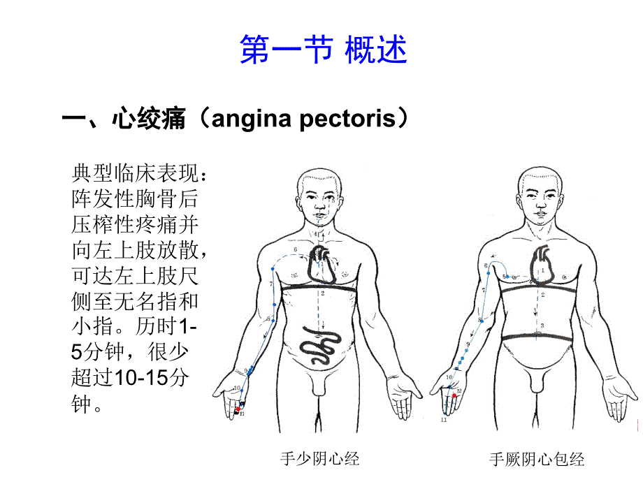 《药理学》第28章抗心绞痛药ppt课件_第4页