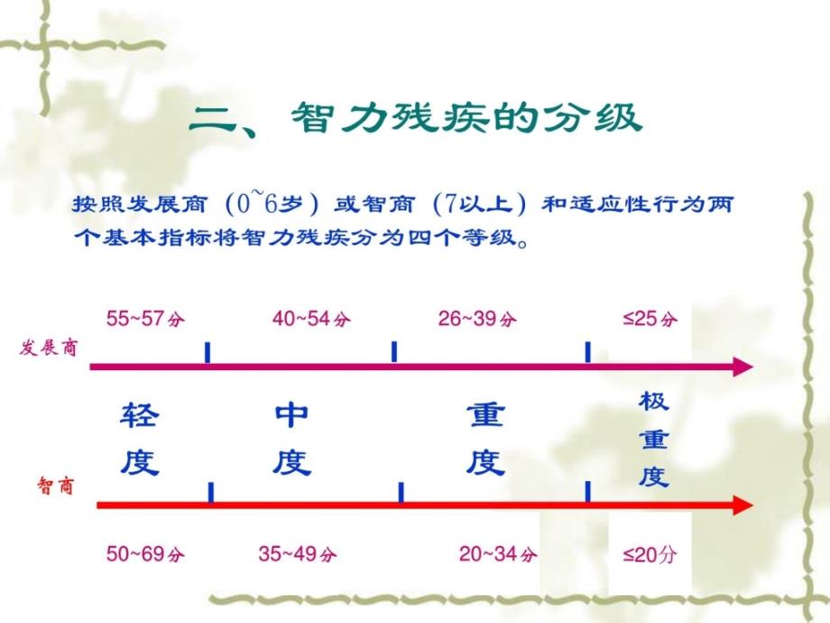 智力残疾康复练习资料课件_第3页