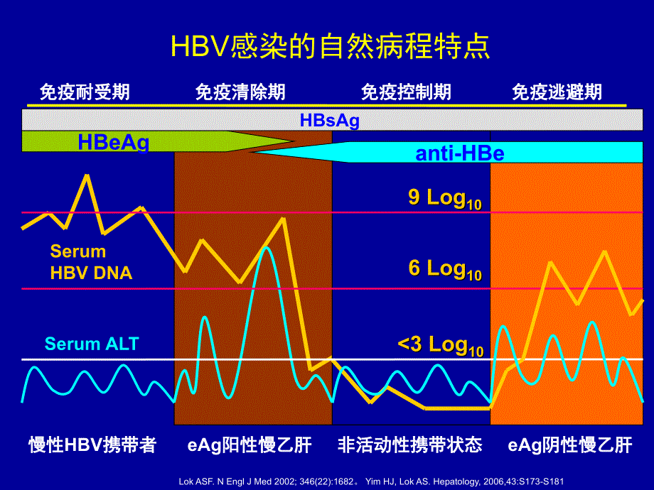 慢性乙型肝炎抗病毒治疗的热点问题课件_1_第2页