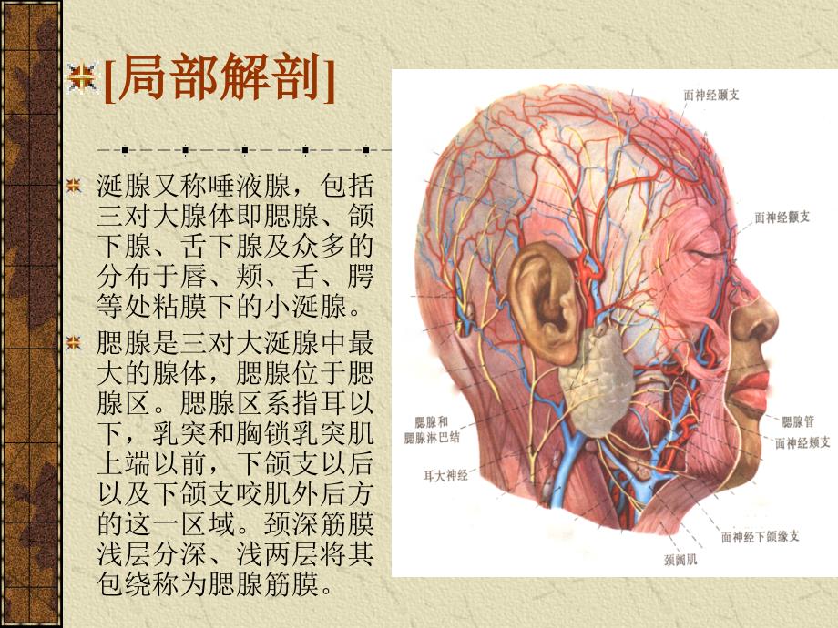 腮腺癌课件_第2页