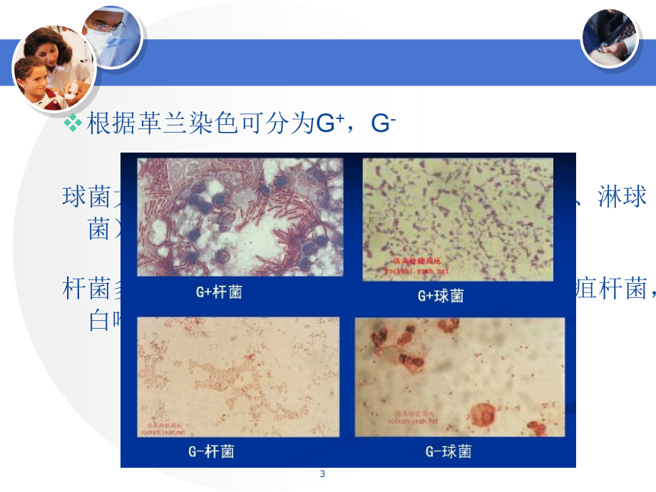 常见细菌感染的药物治疗PPT课件_第3页