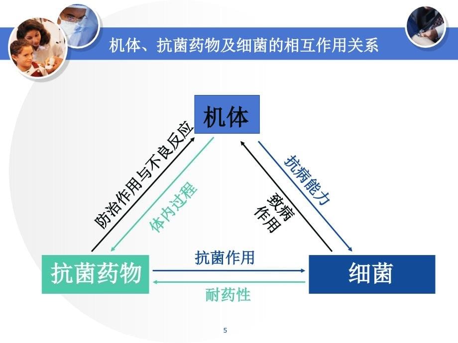 常见细菌感染的药物治疗PPT课件_第5页