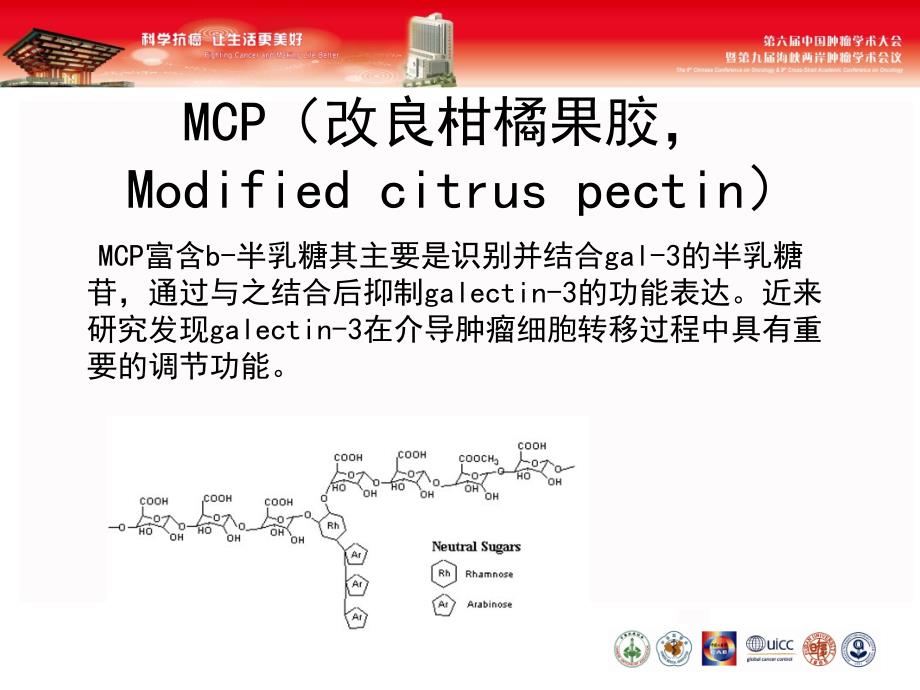 联合血管内皮抑素抑制结肠癌生长及转移的作用研究课件_第3页