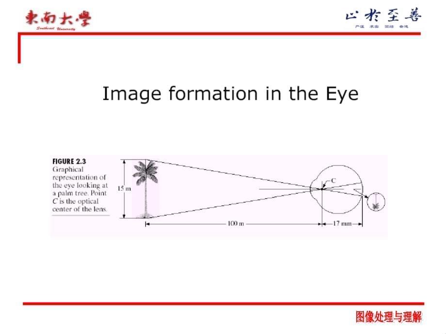 第二章 图像信息基本知识一 人眼视觉特性 引起视觉的外周课件_第5页