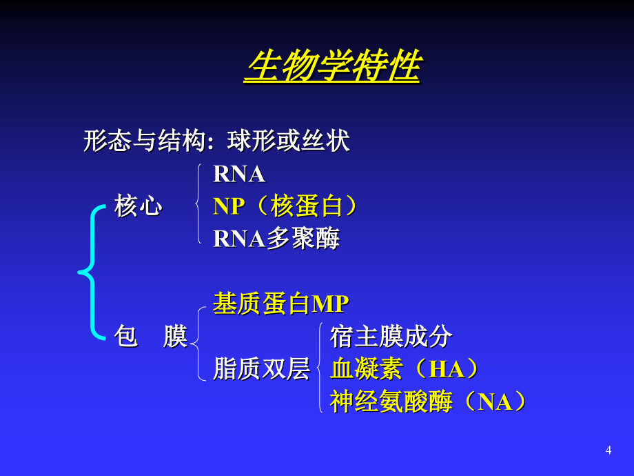 病原生物与免疫学常见病毒PPT课件_第4页